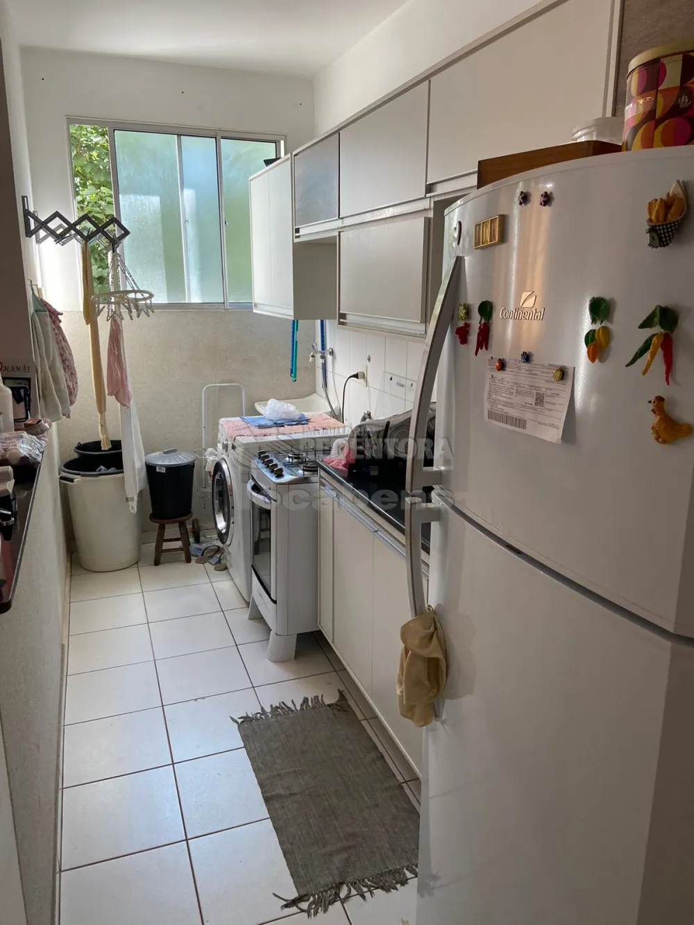 Alugar Apartamento / Padrão em São José do Rio Preto apenas R$ 800,00 - Foto 1