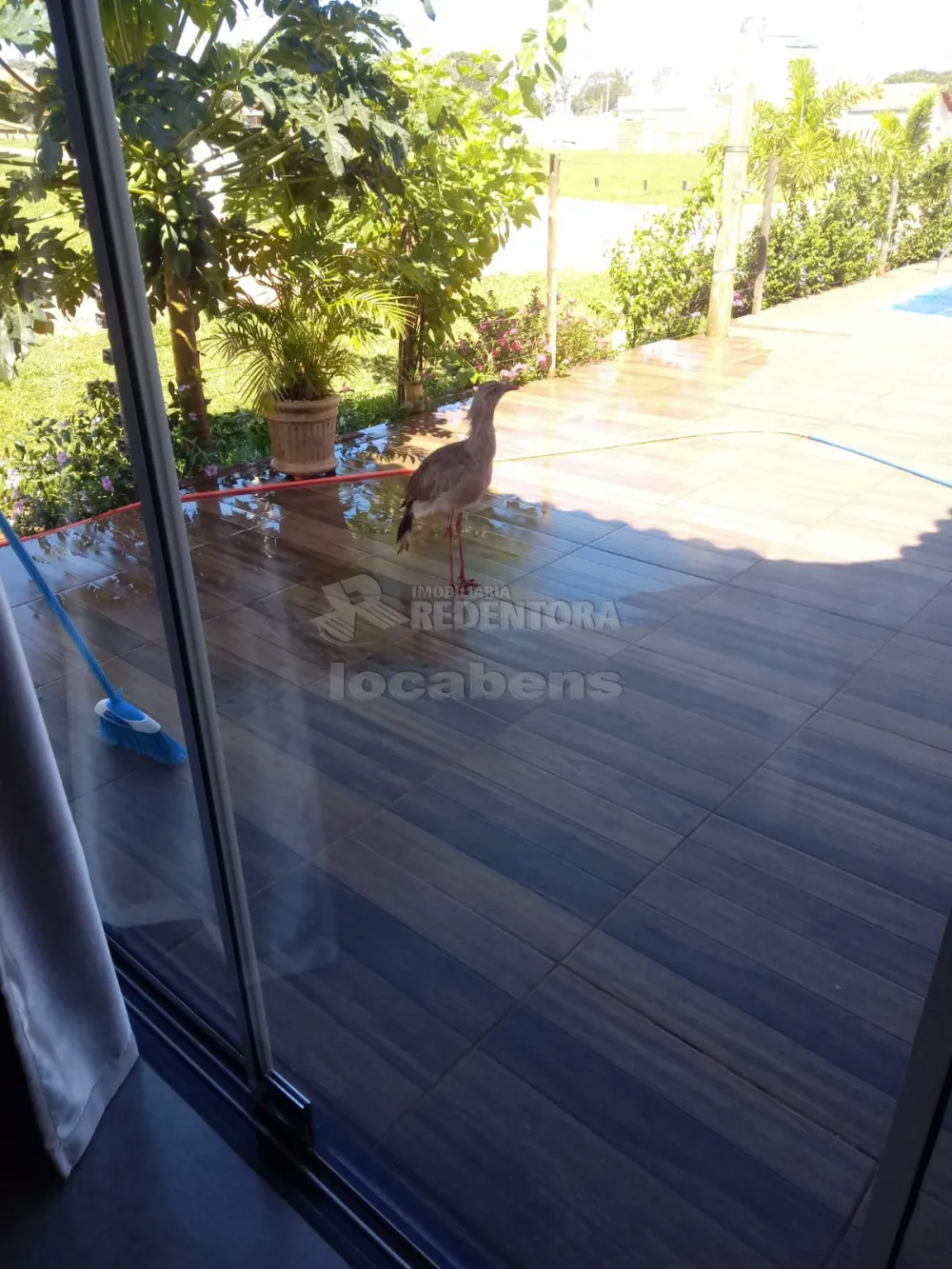 Comprar Casa / Condomínio em Mendonça R$ 280.000,00 - Foto 4