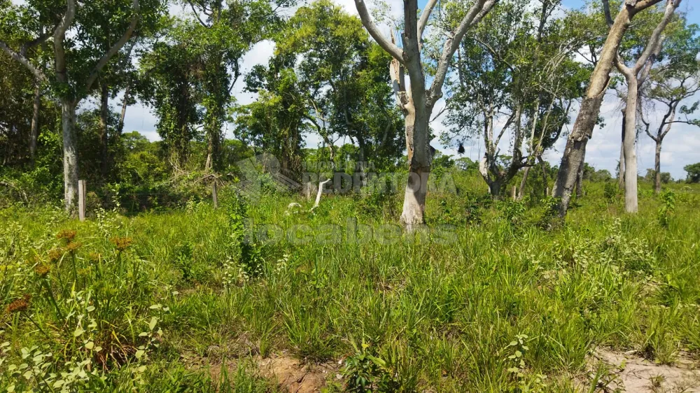 Comprar Rural / Fazenda em Poconé R$ 6.500.000,00 - Foto 7