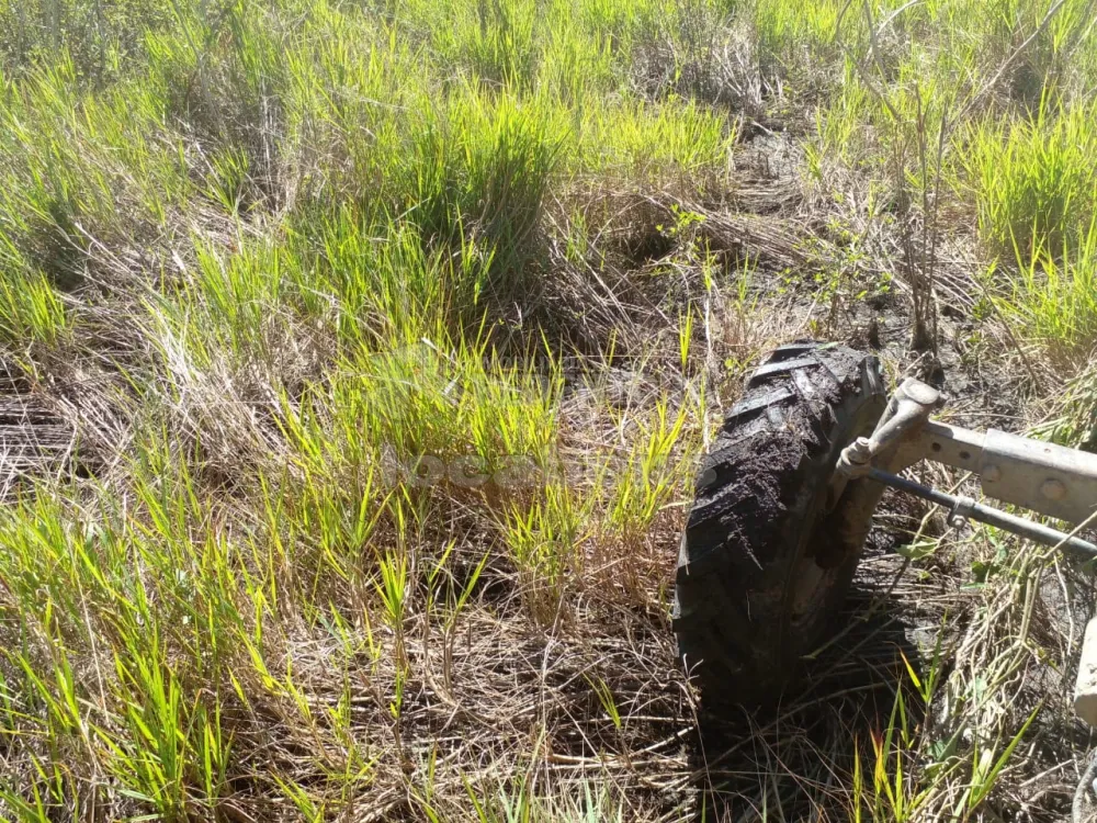 Comprar Rural / Fazenda em Poconé R$ 6.500.000,00 - Foto 5