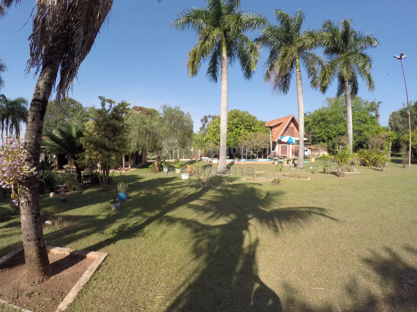 Comprar Rural / Chácara em São José do Rio Preto R$ 1.100.000,00 - Foto 58