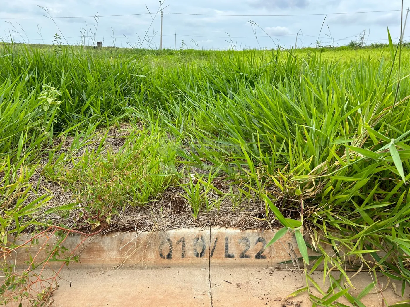 Comprar Terreno / Padrão em São José do Rio Preto apenas R$ 90.000,00 - Foto 5