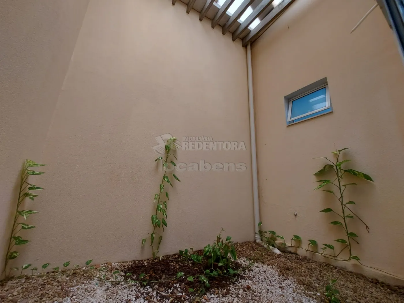 Alugar Comercial / Sala em São José do Rio Preto apenas R$ 1.200,00 - Foto 3