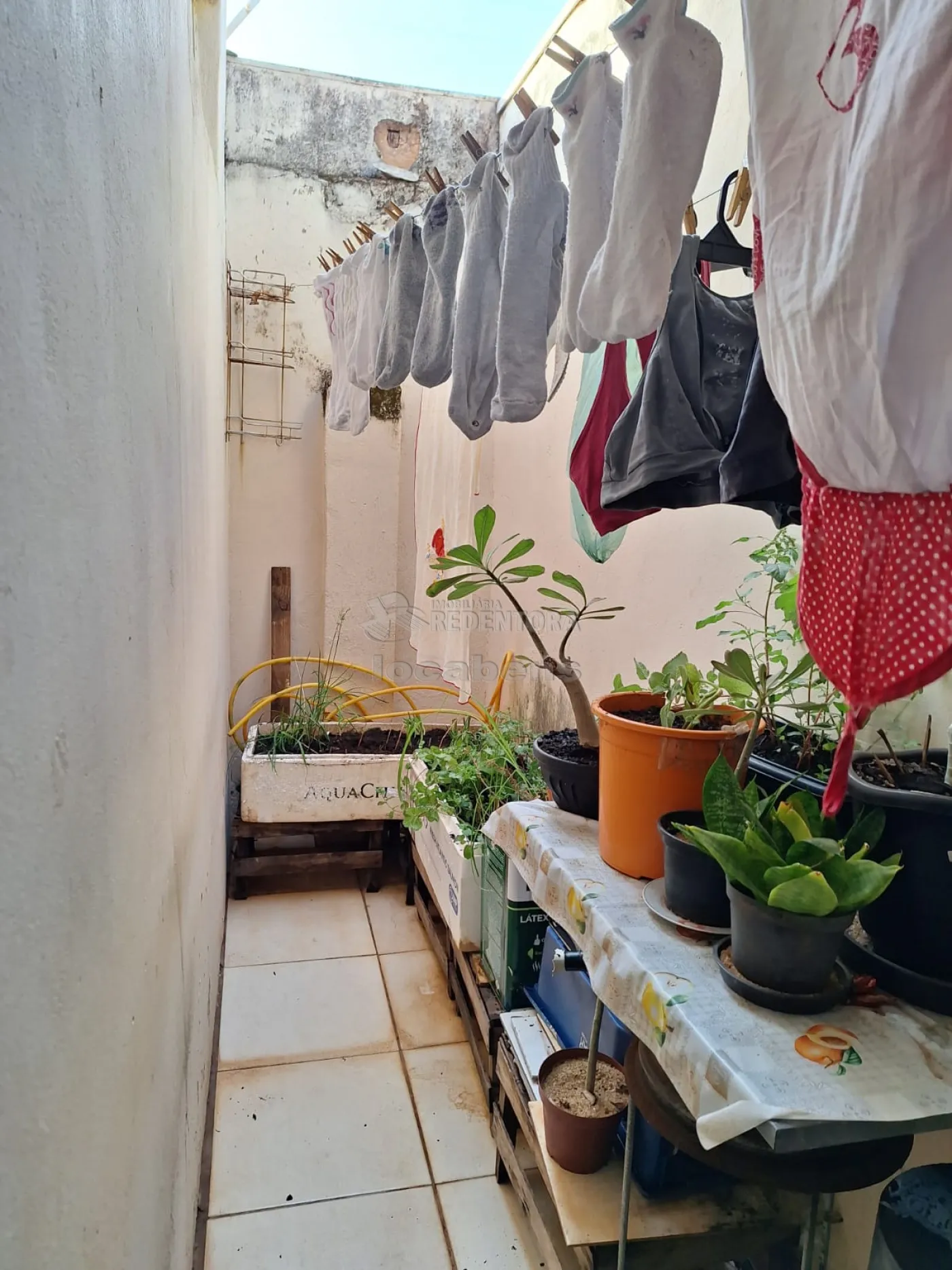 Alugar Casa / Padrão em São José do Rio Preto R$ 1.500,00 - Foto 4