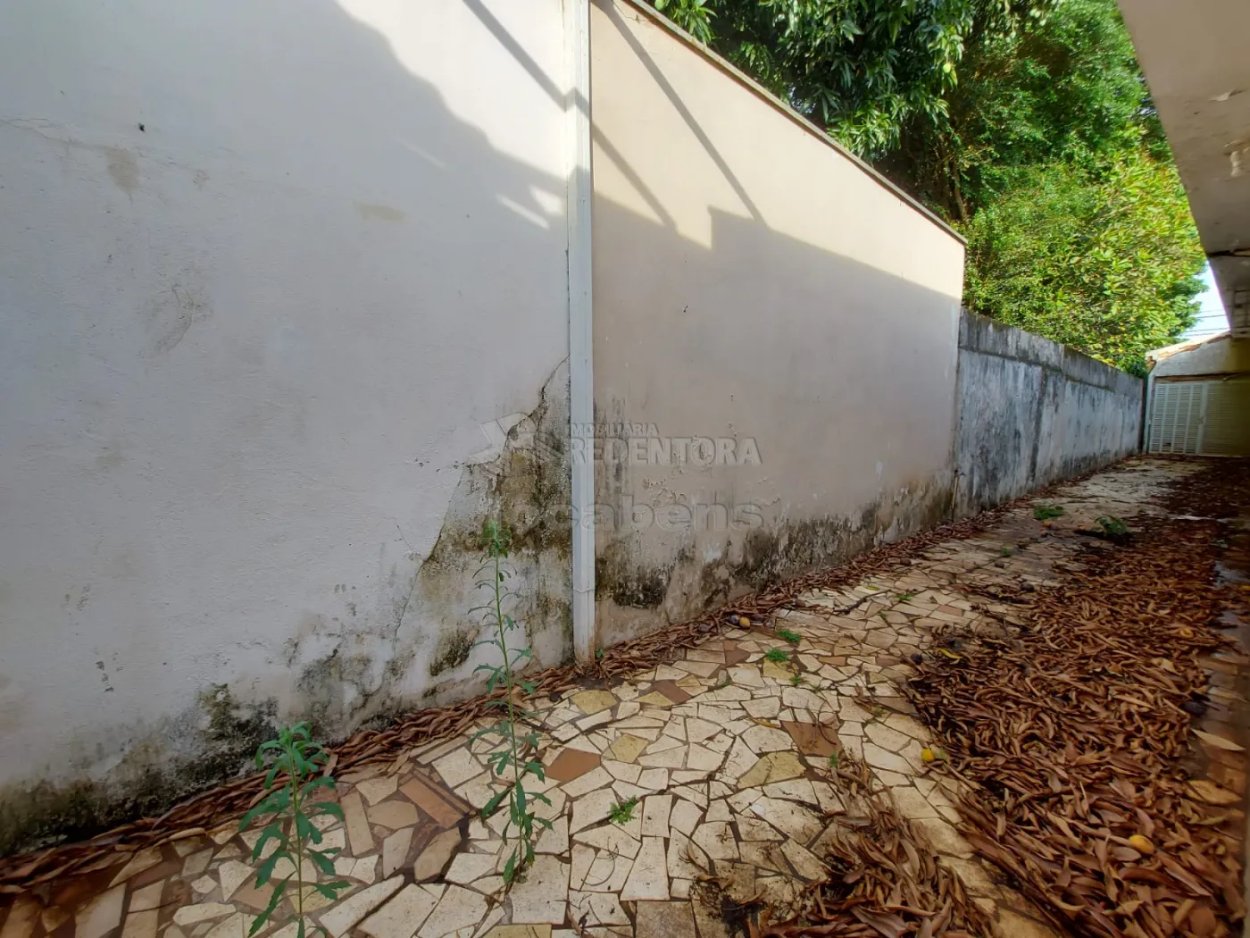 Alugar Casa / Padrão em São José do Rio Preto R$ 4.500,00 - Foto 16