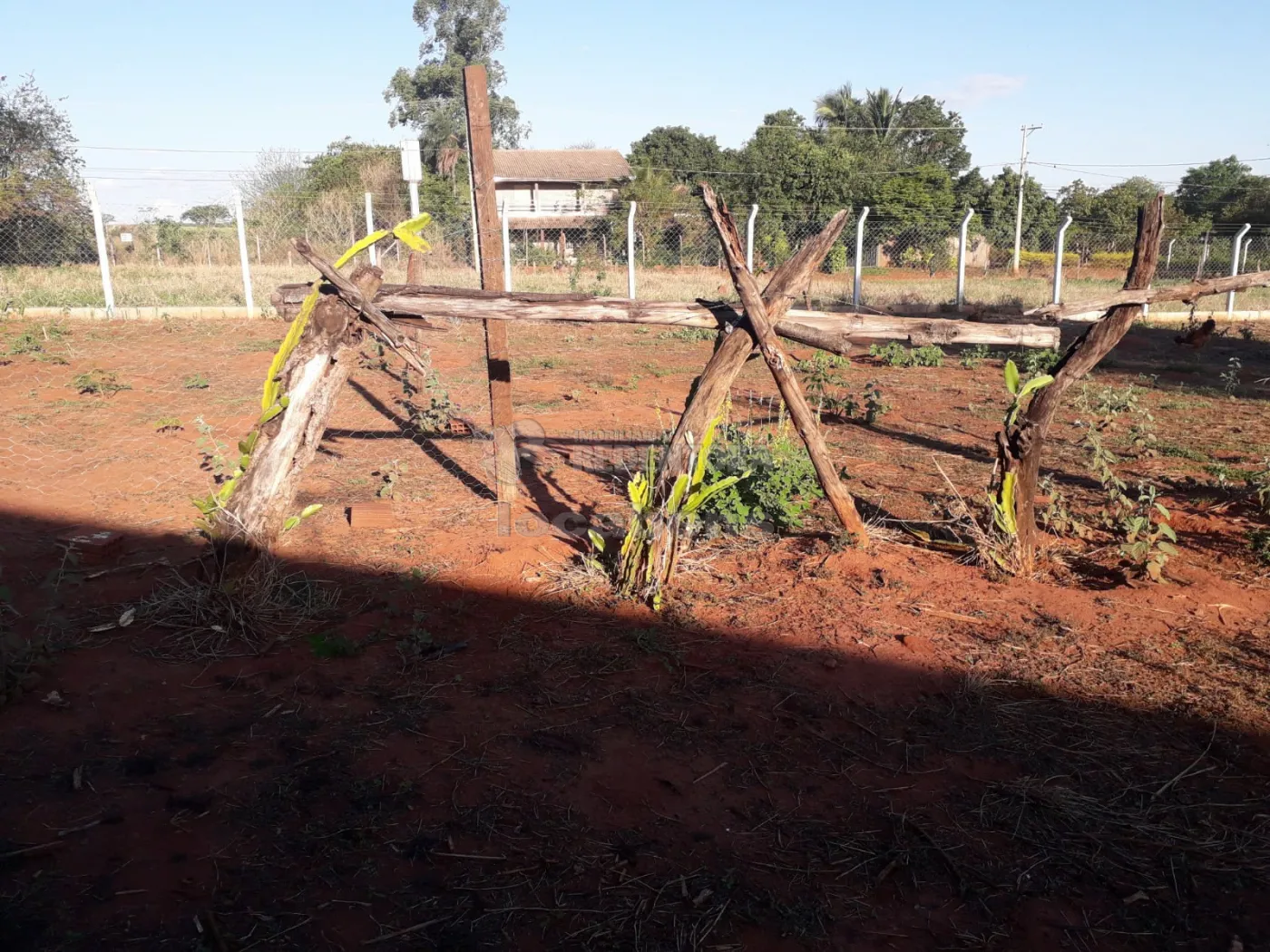 Comprar Terreno / Área em Talhados R$ 120.000,00 - Foto 2