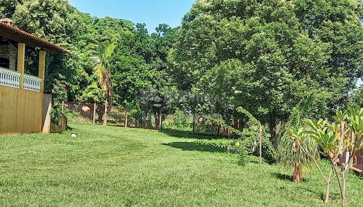 Comprar Rural / Chácara em Cedral apenas R$ 1.290.000,00 - Foto 10