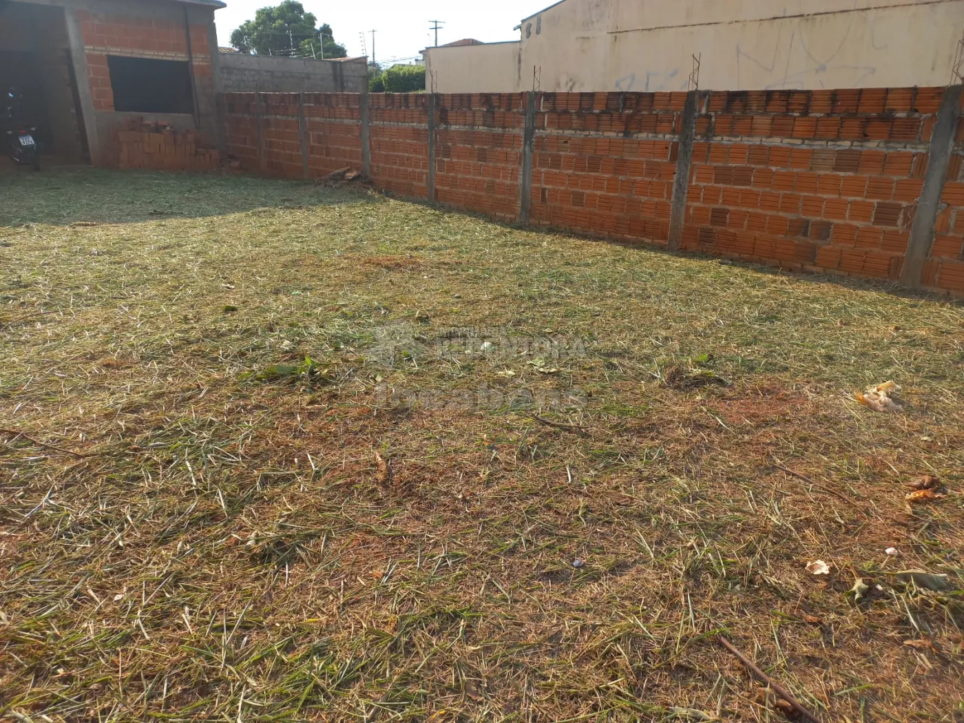 Comprar Terreno / Padrão em São José do Rio Preto R$ 270.000,00 - Foto 5