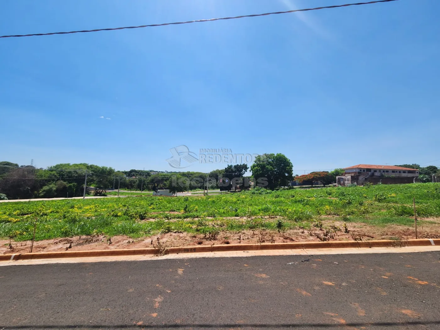 Comprar Terreno / Padrão em São José do Rio Preto R$ 147.500,00 - Foto 1