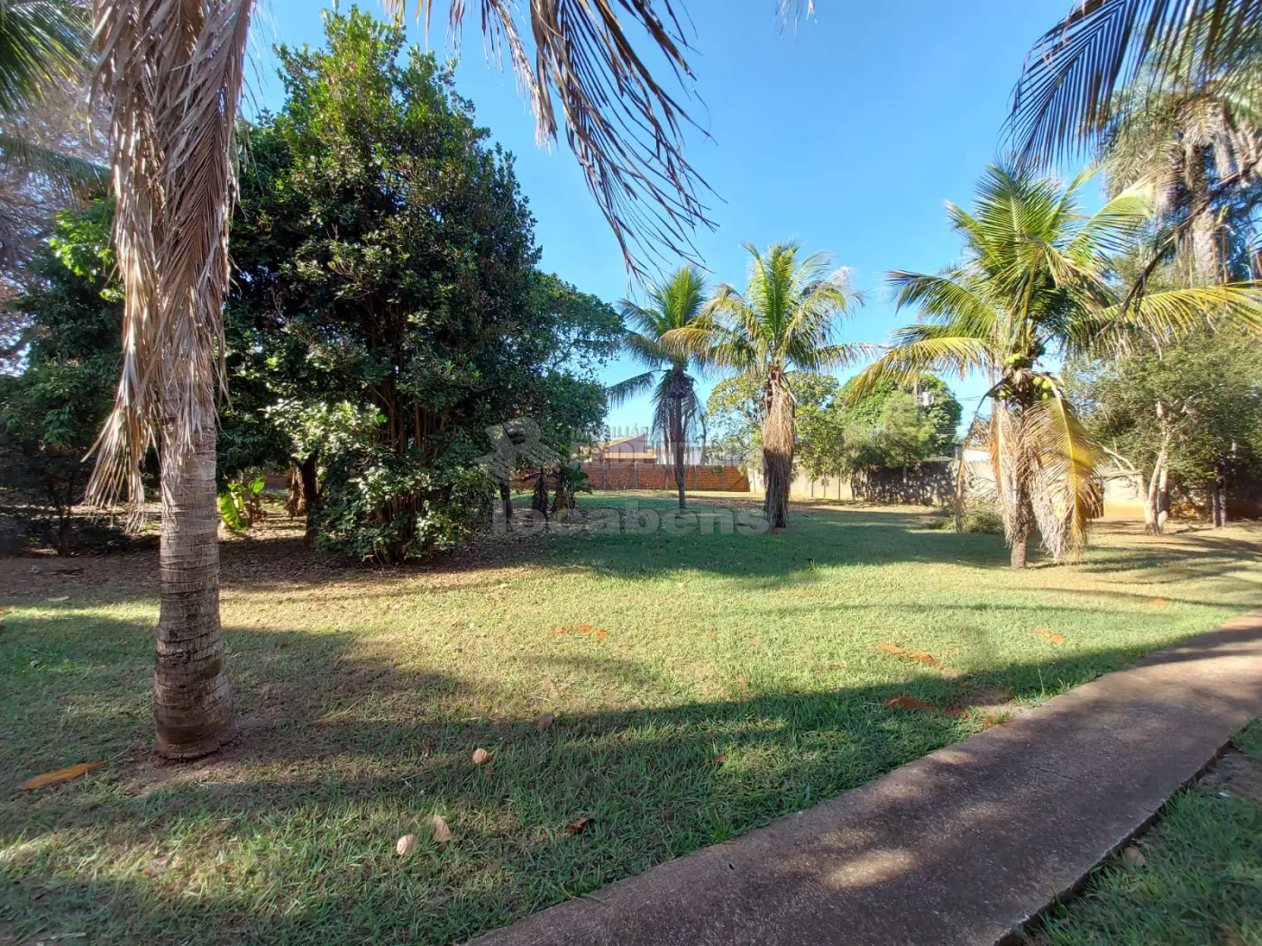 Alugar Rural / Chácara em São José do Rio Preto apenas R$ 3.600,00 - Foto 23