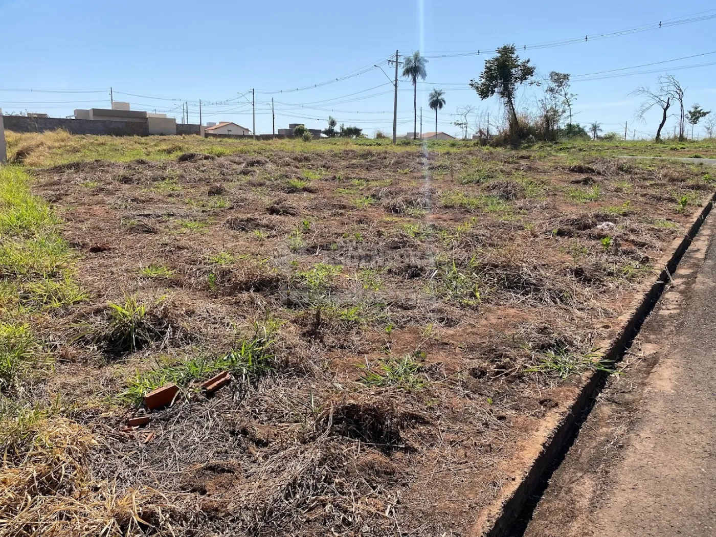 Comprar Terreno / Padrão em São José do Rio Preto apenas R$ 140.000,00 - Foto 3