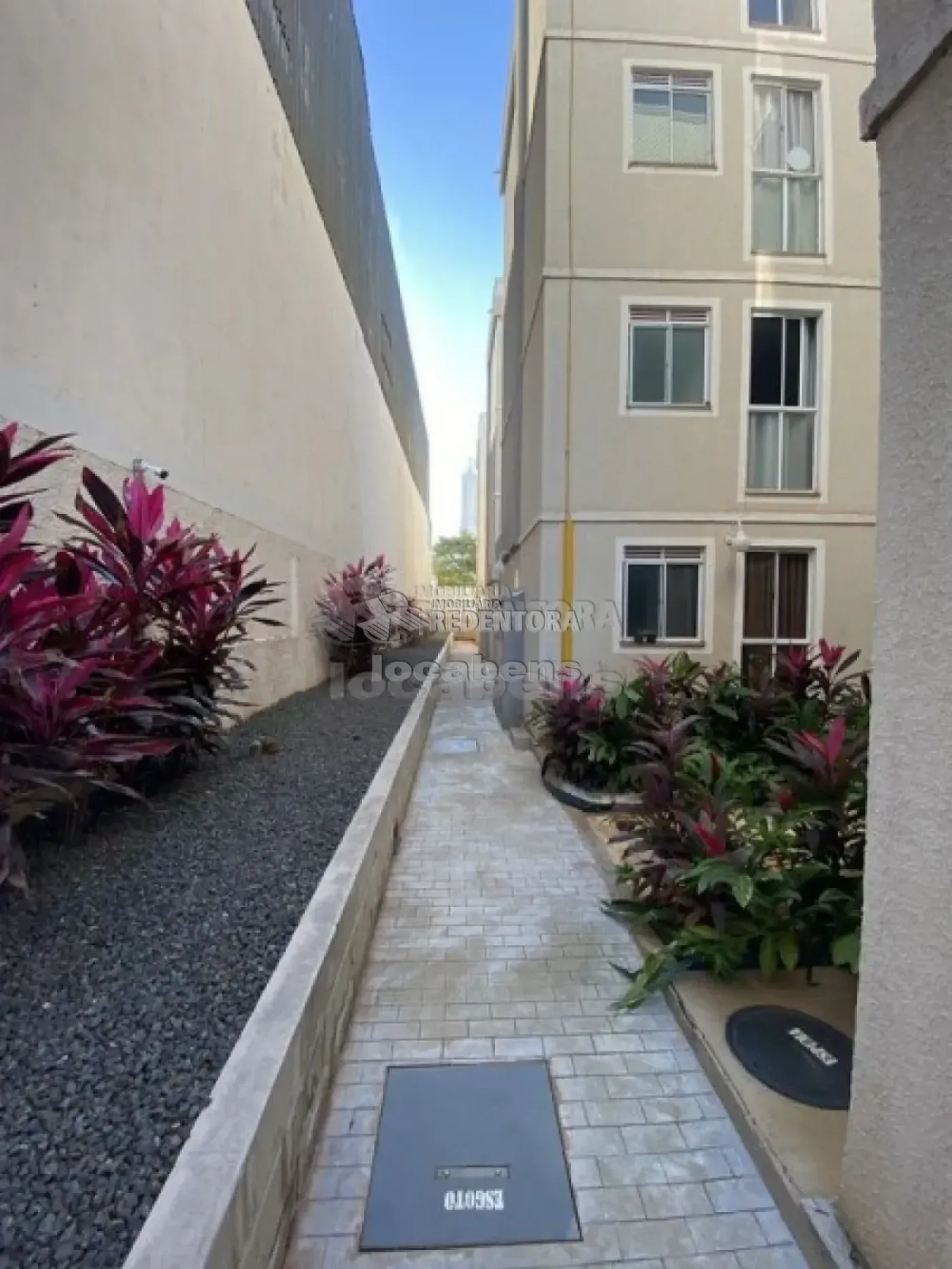 Alugar Apartamento / Padrão em São José do Rio Preto R$ 620,00 - Foto 8