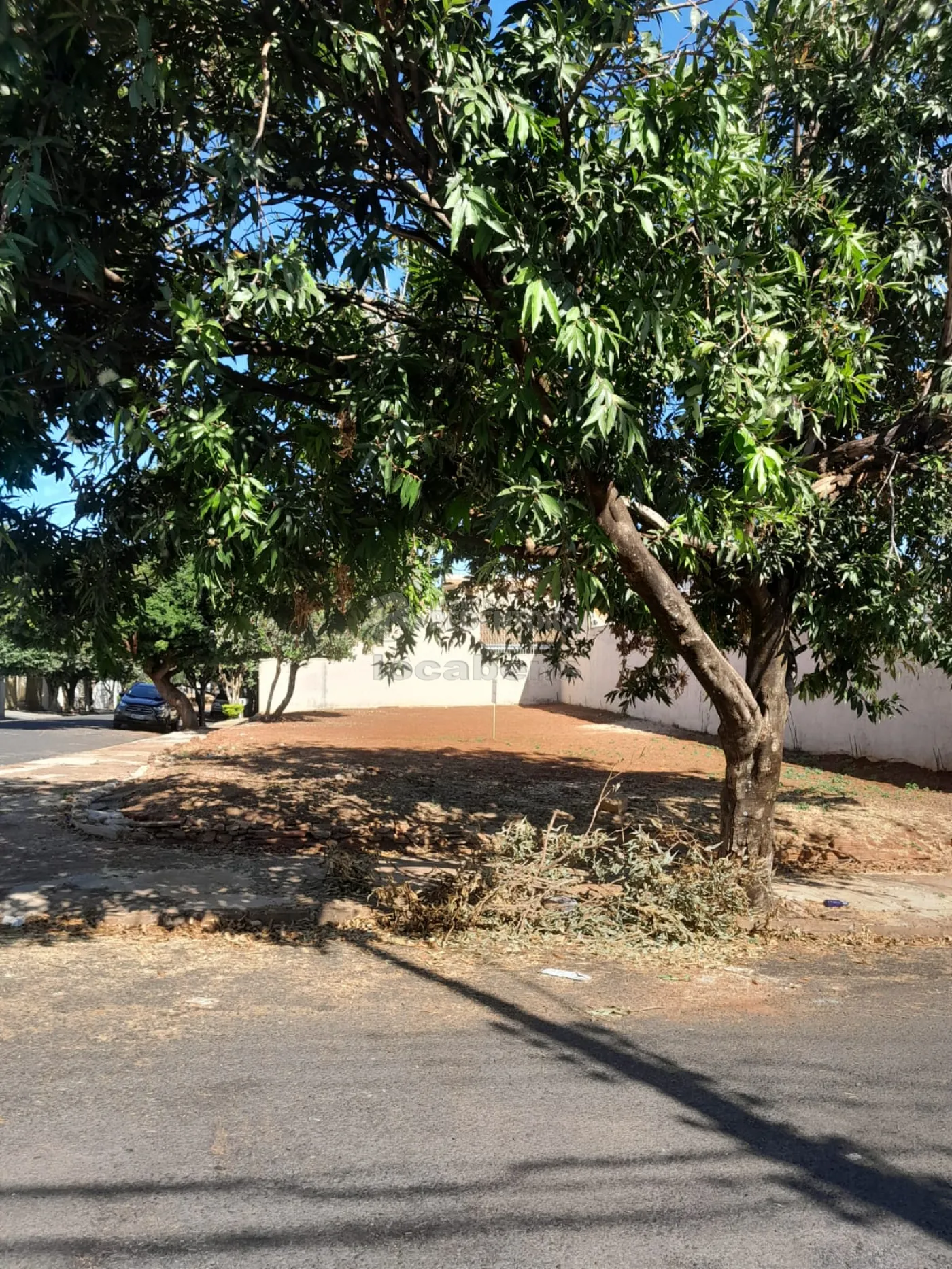 Comprar Terreno / Padrão em São José do Rio Preto R$ 350.000,00 - Foto 1