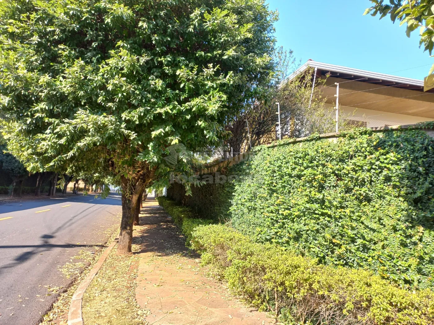 Alugar Casa / Sobrado em São José do Rio Preto apenas R$ 10.000,00 - Foto 2