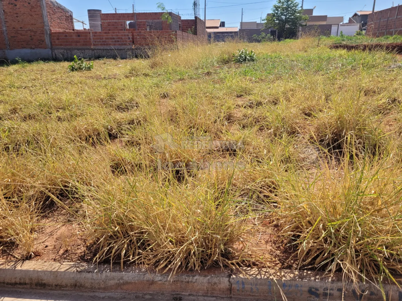 Alugar Terreno / Padrão em São José do Rio Preto apenas R$ 800,00 - Foto 1