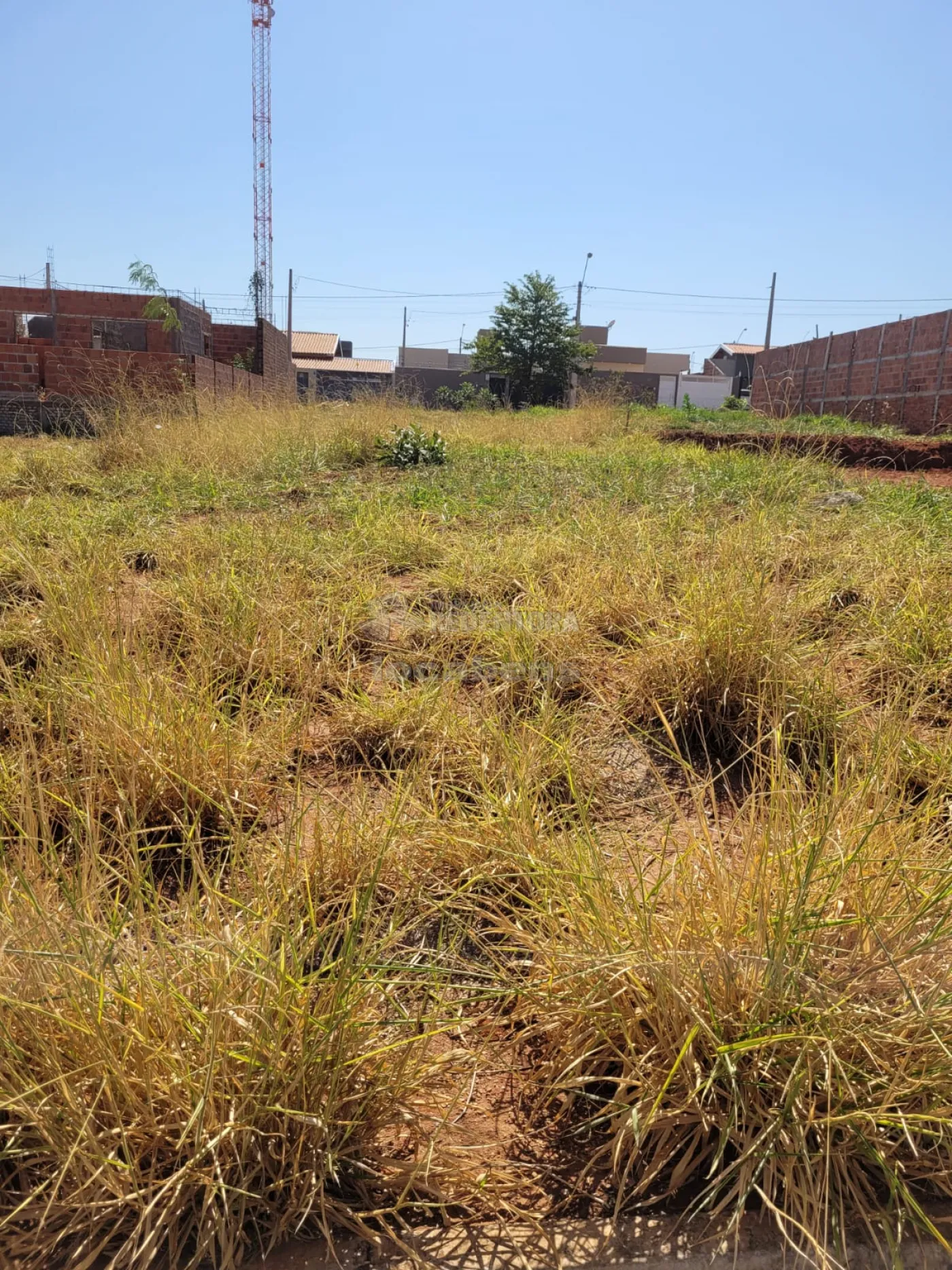 Alugar Terreno / Padrão em São José do Rio Preto apenas R$ 800,00 - Foto 2