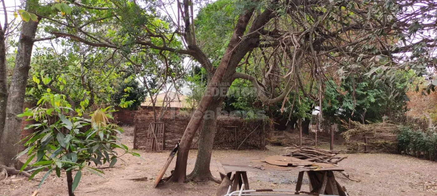 Comprar Rural / Chácara em São José do Rio Preto apenas R$ 290.000,00 - Foto 3