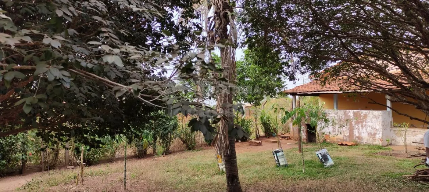 Comprar Rural / Chácara em São José do Rio Preto R$ 290.000,00 - Foto 6