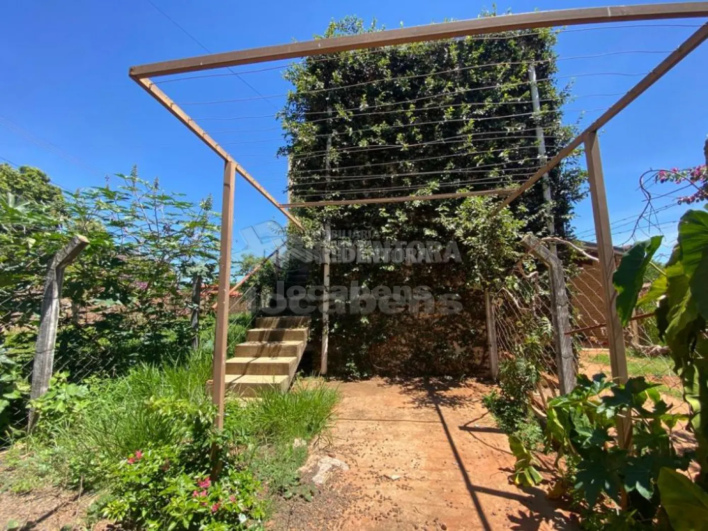 Comprar Rural / Chácara em São José do Rio Preto R$ 195.000,00 - Foto 21