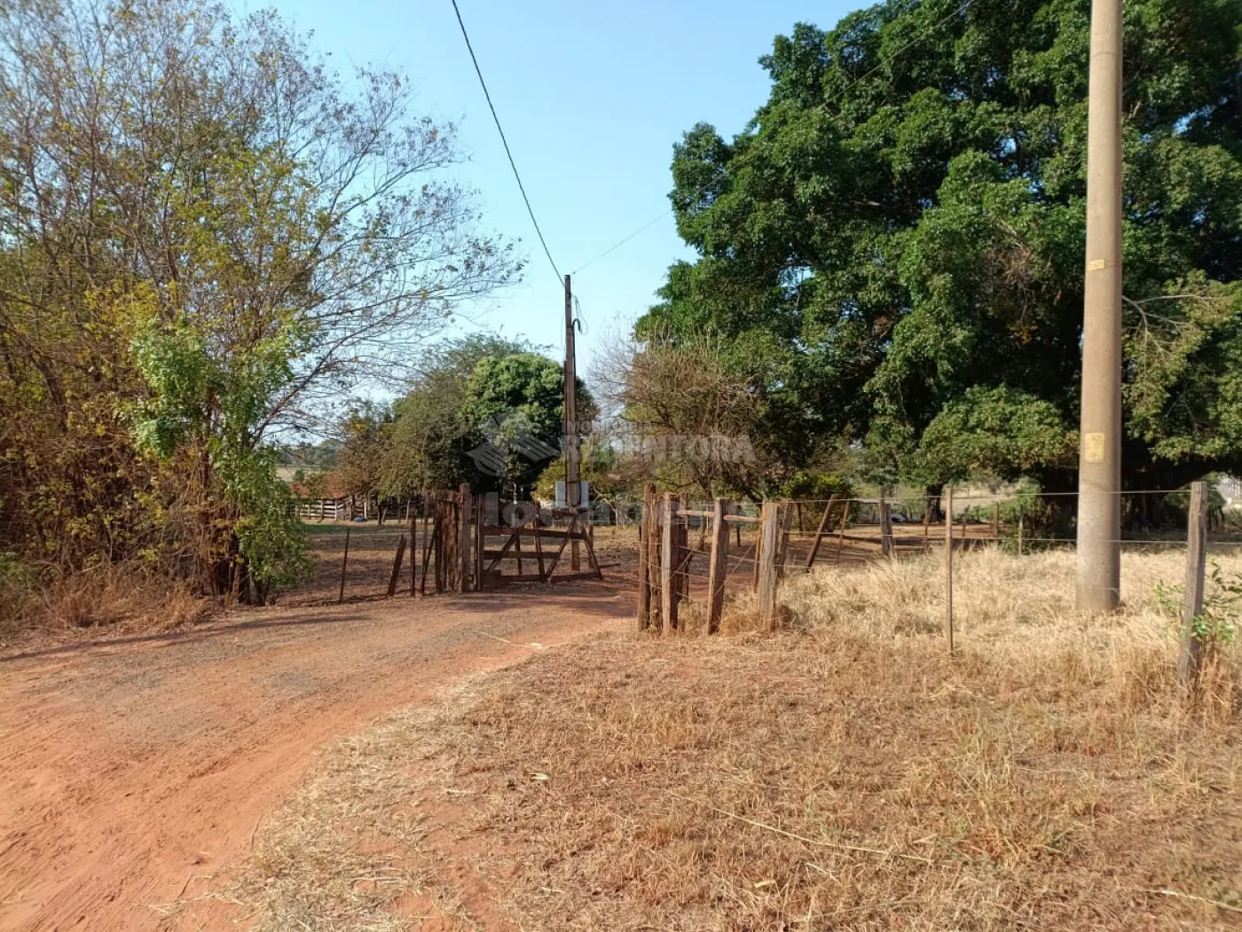 Comprar Rural / Sítio em Macaubal R$ 3.200.000,00 - Foto 8