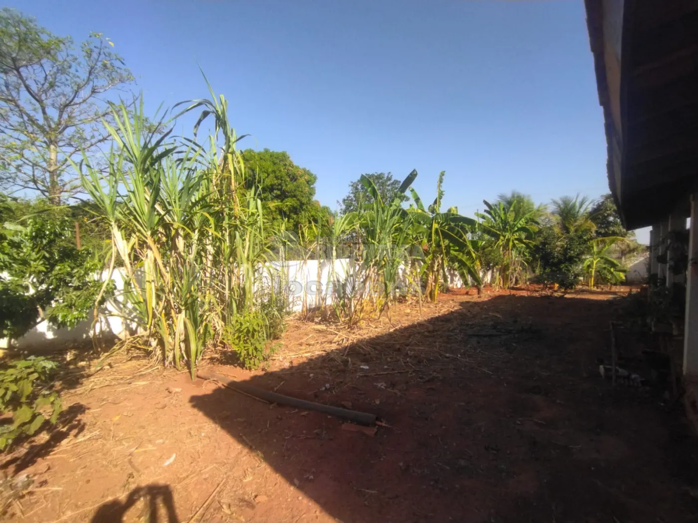 Comprar Rural / Chácara em São José do Rio Preto R$ 420.000,00 - Foto 13