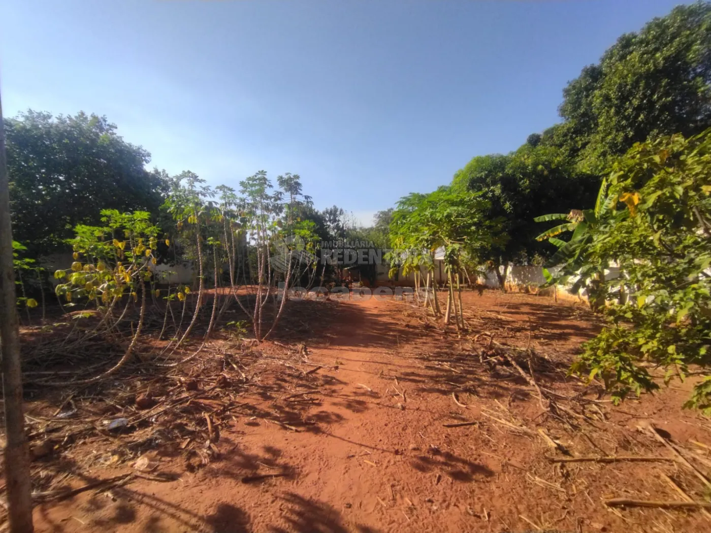 Comprar Rural / Chácara em São José do Rio Preto apenas R$ 420.000,00 - Foto 14