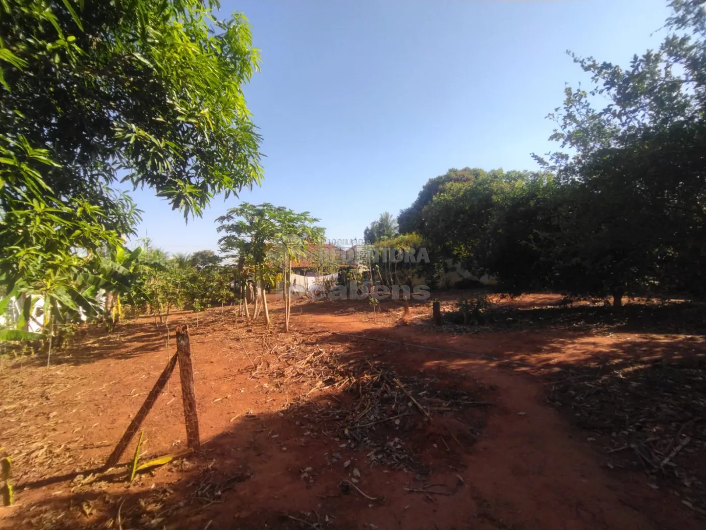 Comprar Rural / Chácara em São José do Rio Preto R$ 420.000,00 - Foto 16