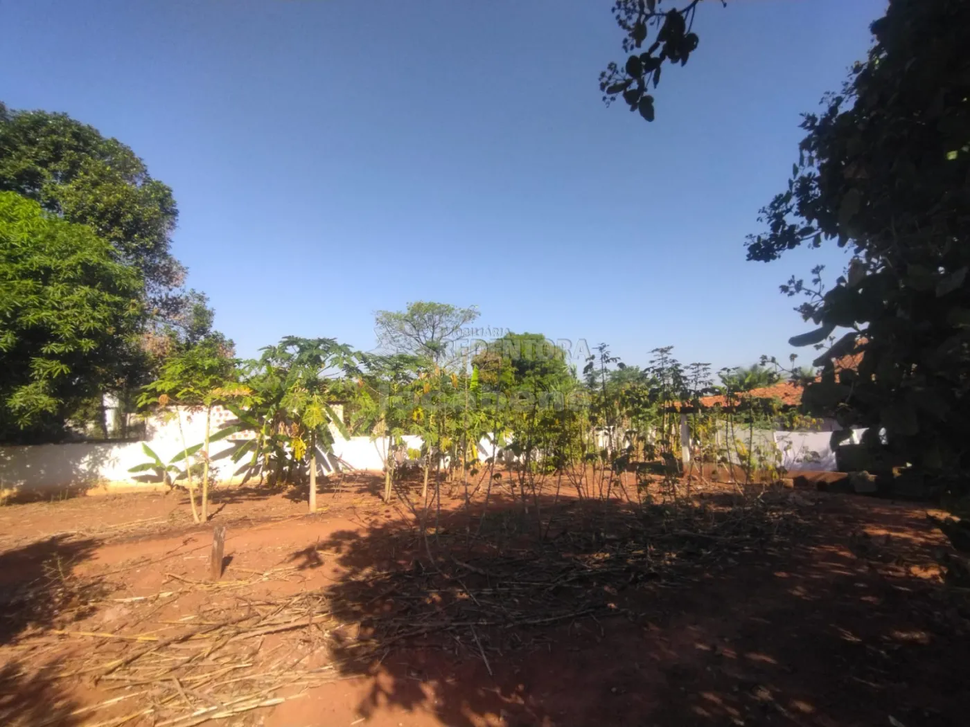 Comprar Rural / Chácara em São José do Rio Preto R$ 420.000,00 - Foto 17