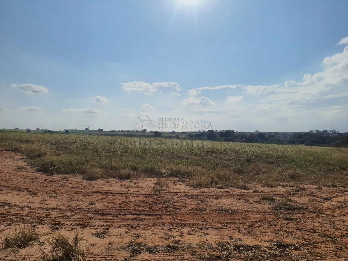 Comprar Rural / Sítio em Cedral apenas R$ 600.000,00 - Foto 2