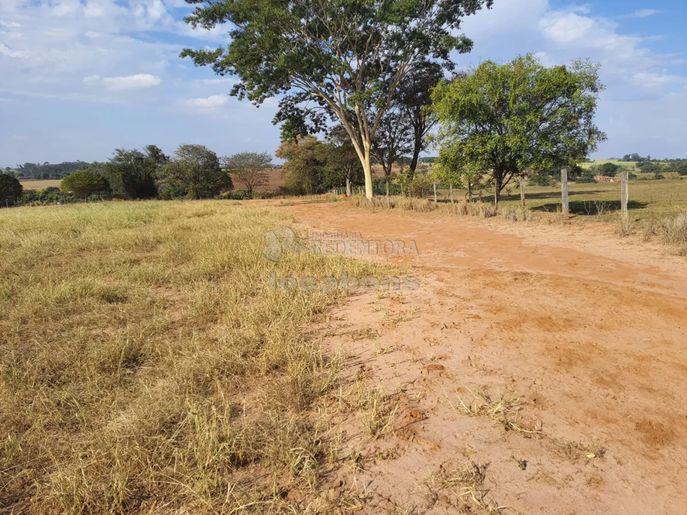 Comprar Rural / Sítio em Cedral apenas R$ 600.000,00 - Foto 7