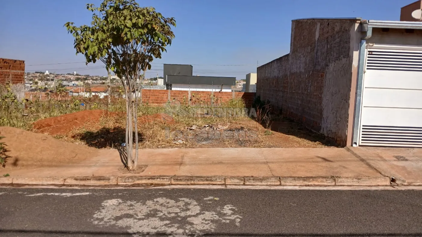 Comprar Terreno / Padrão em São José do Rio Preto R$ 90.000,00 - Foto 1