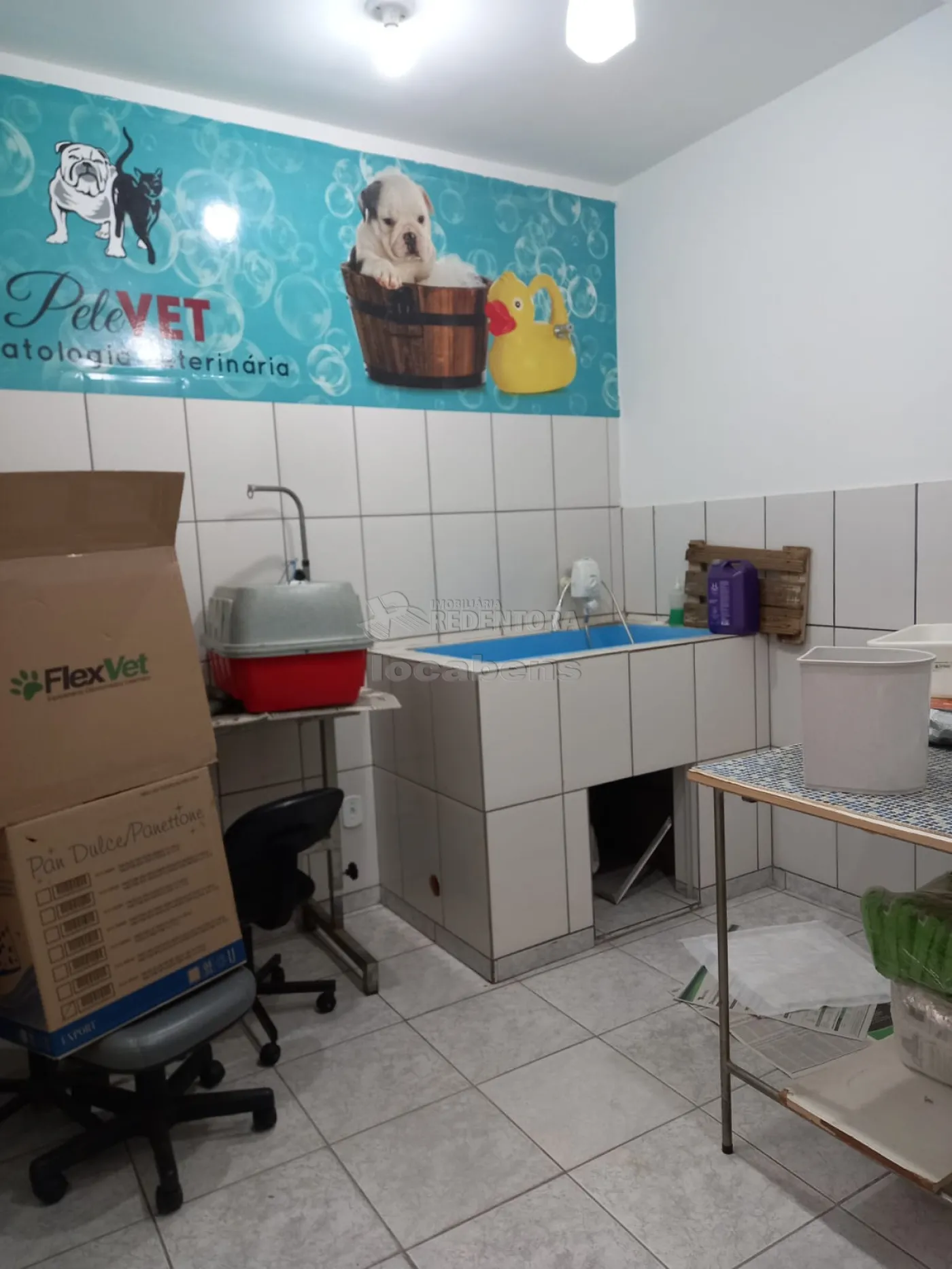 Alugar Comercial / Casa Comercial em São José do Rio Preto R$ 5.500,00 - Foto 21