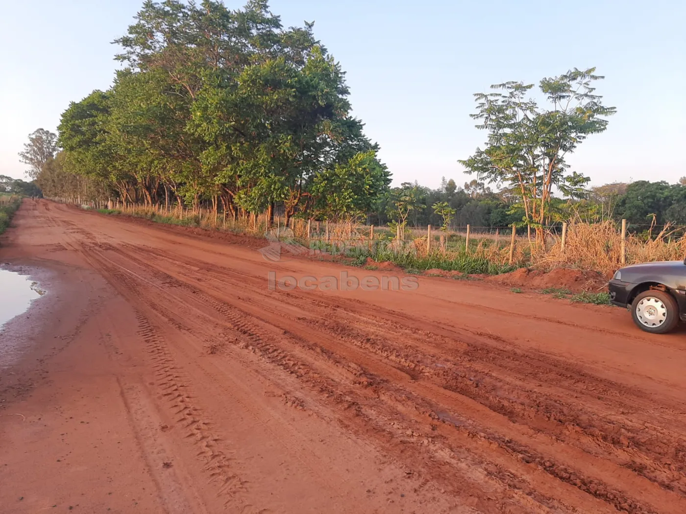 Comprar Rural / Sítio em Mirassolândia apenas R$ 550.000,00 - Foto 4