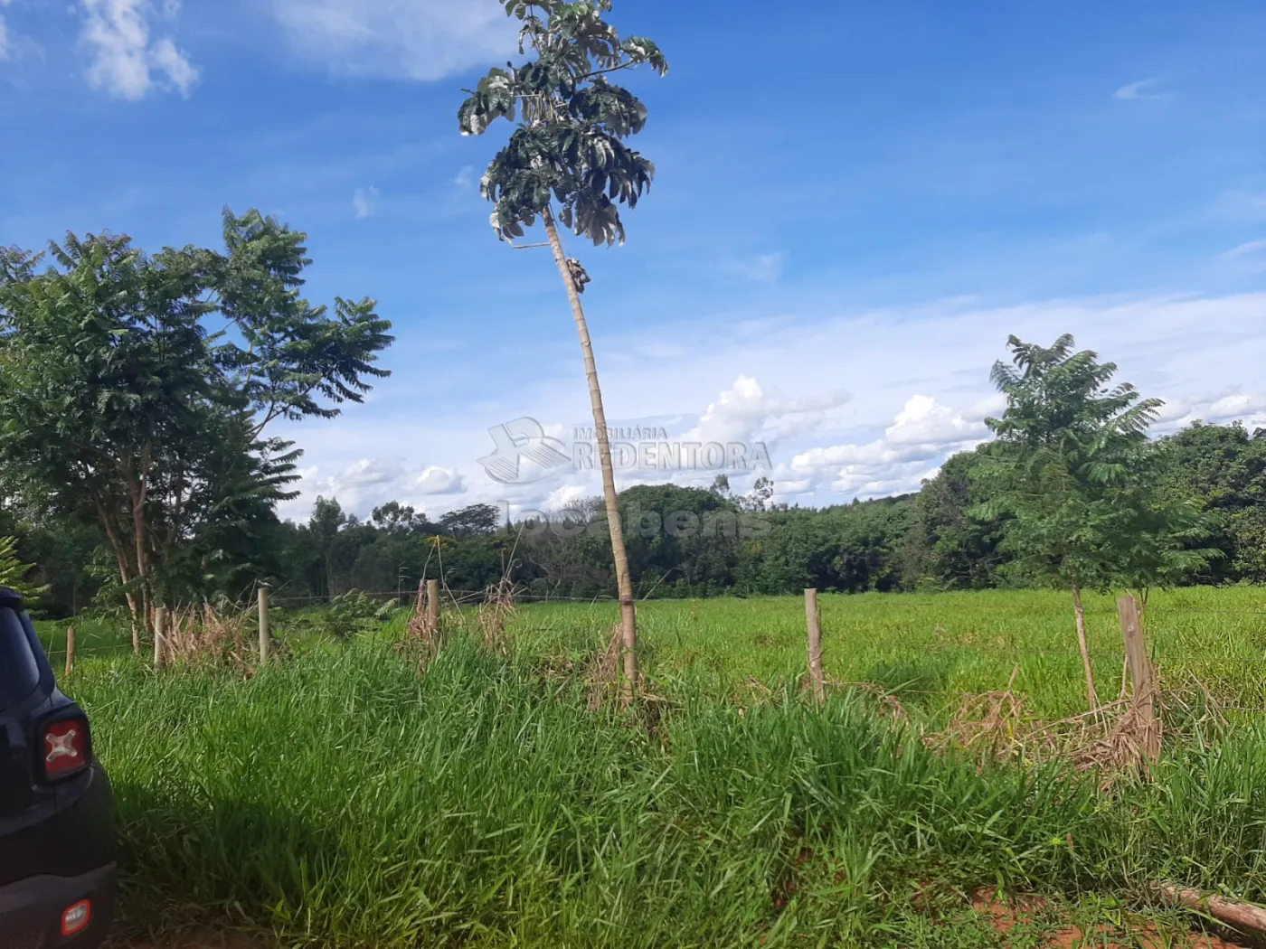 Comprar Rural / Sítio em Mirassolândia R$ 550.000,00 - Foto 7