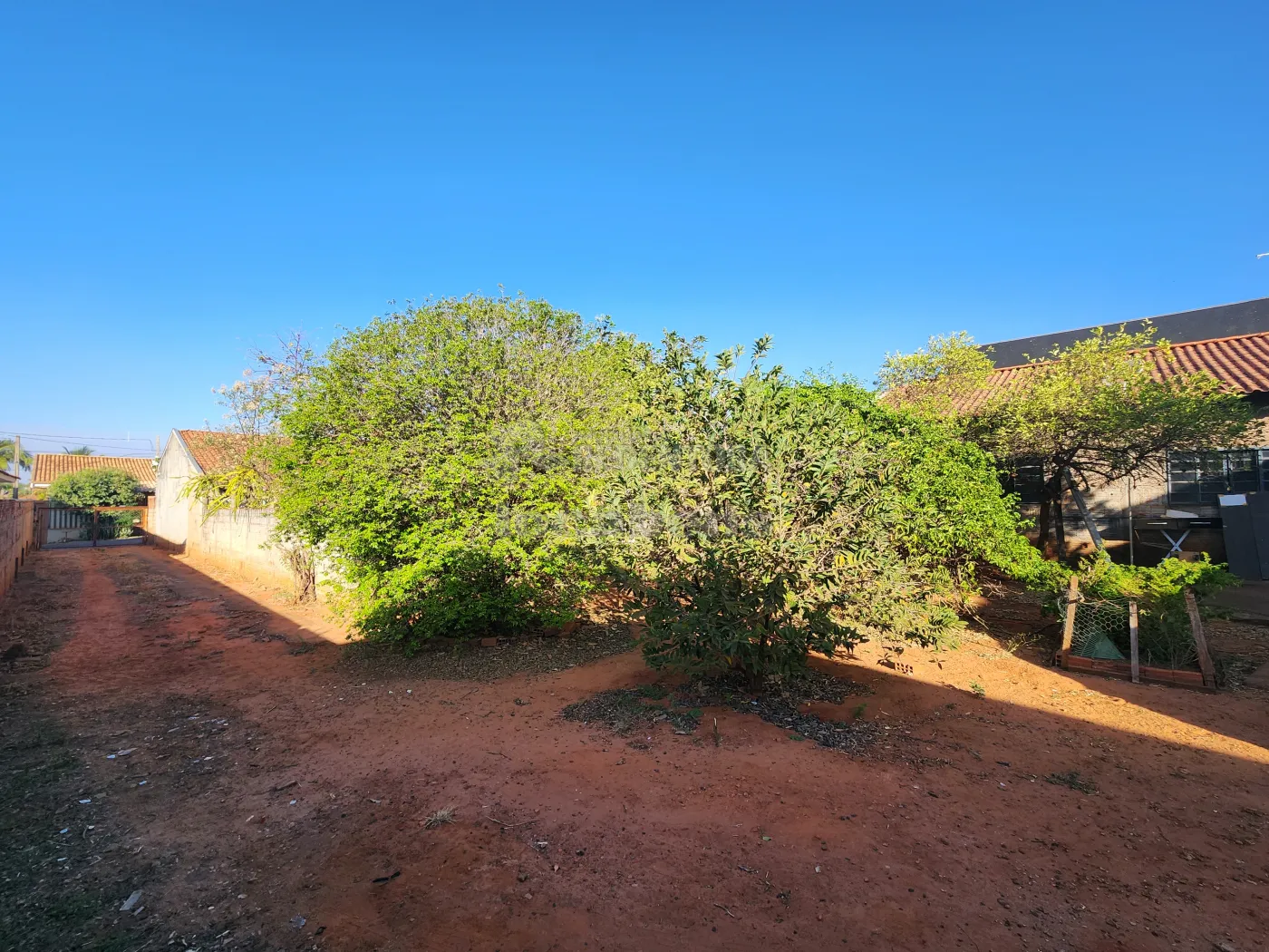 Comprar Rural / Chácara em São José do Rio Preto R$ 150.000,00 - Foto 9