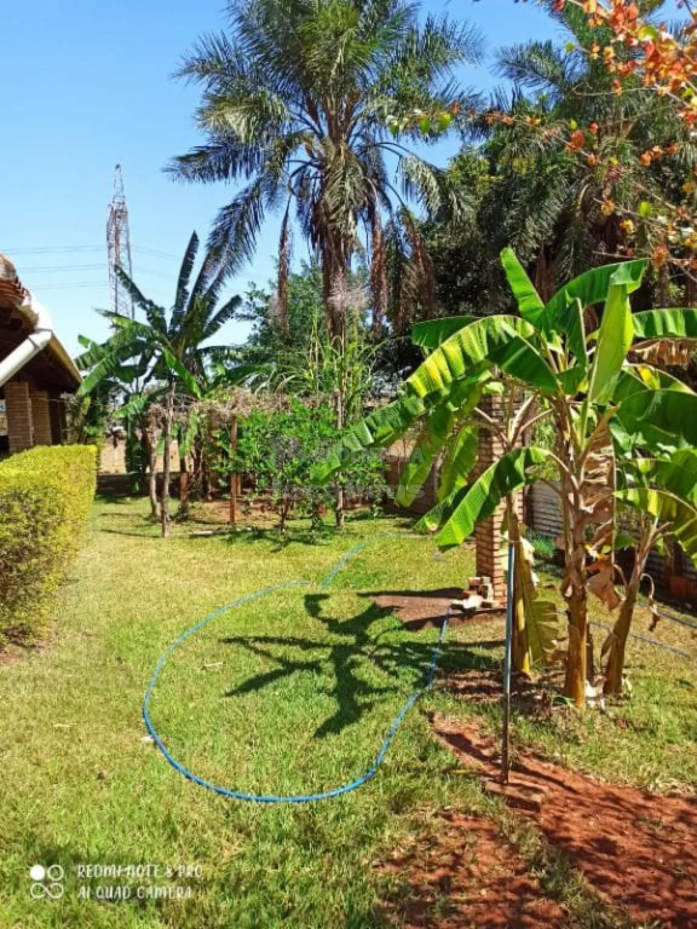 Comprar Rural / Chácara em São José do Rio Preto R$ 1.500.000,00 - Foto 13