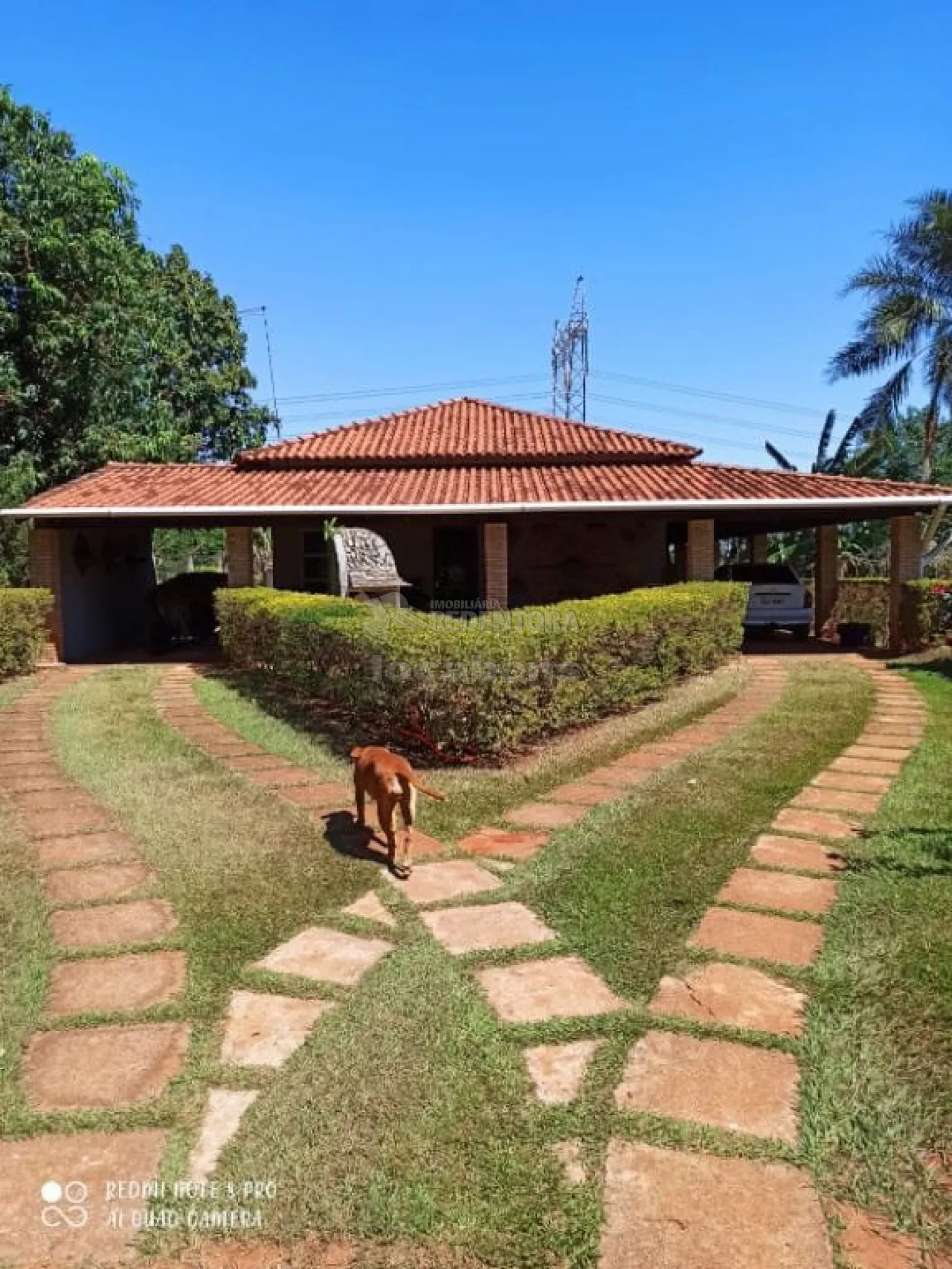 Comprar Rural / Chácara em São José do Rio Preto R$ 1.500.000,00 - Foto 1