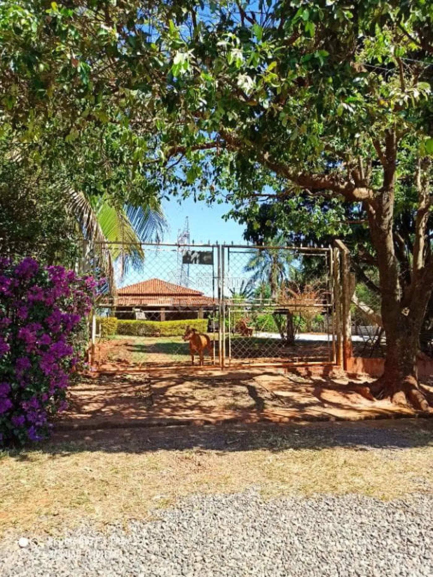 Comprar Rural / Chácara em São José do Rio Preto R$ 1.500.000,00 - Foto 16