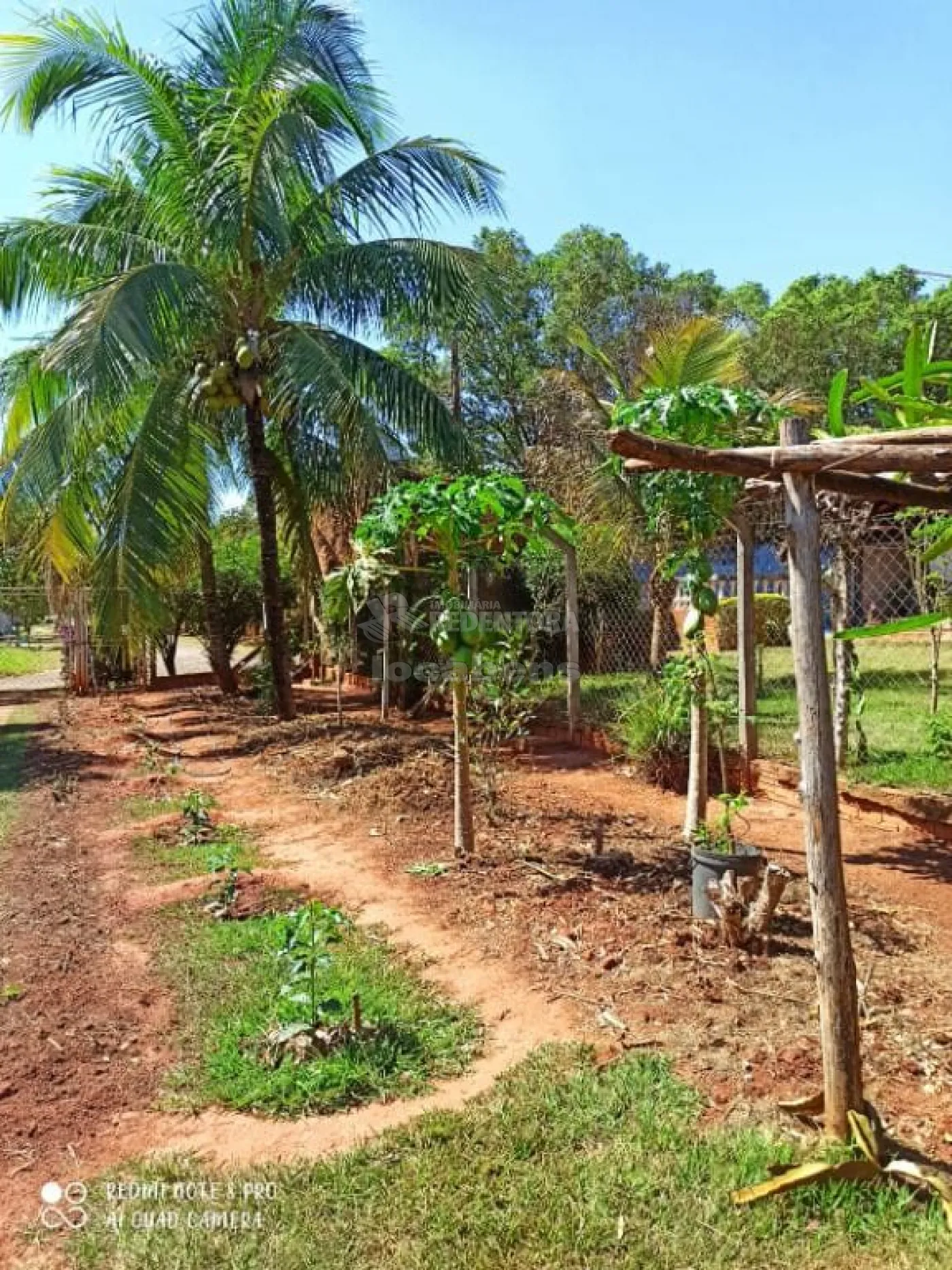 Comprar Rural / Chácara em São José do Rio Preto R$ 1.500.000,00 - Foto 17