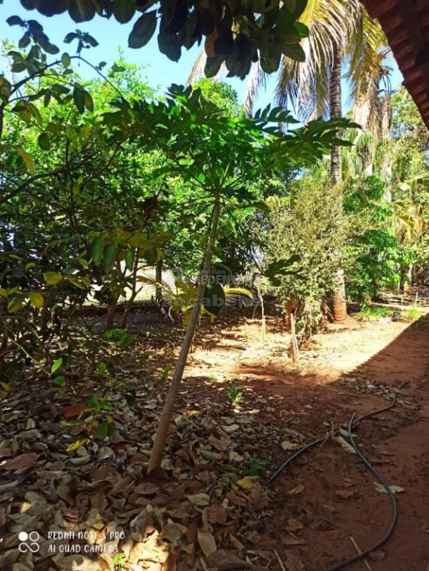 Comprar Rural / Chácara em São José do Rio Preto R$ 1.500.000,00 - Foto 19