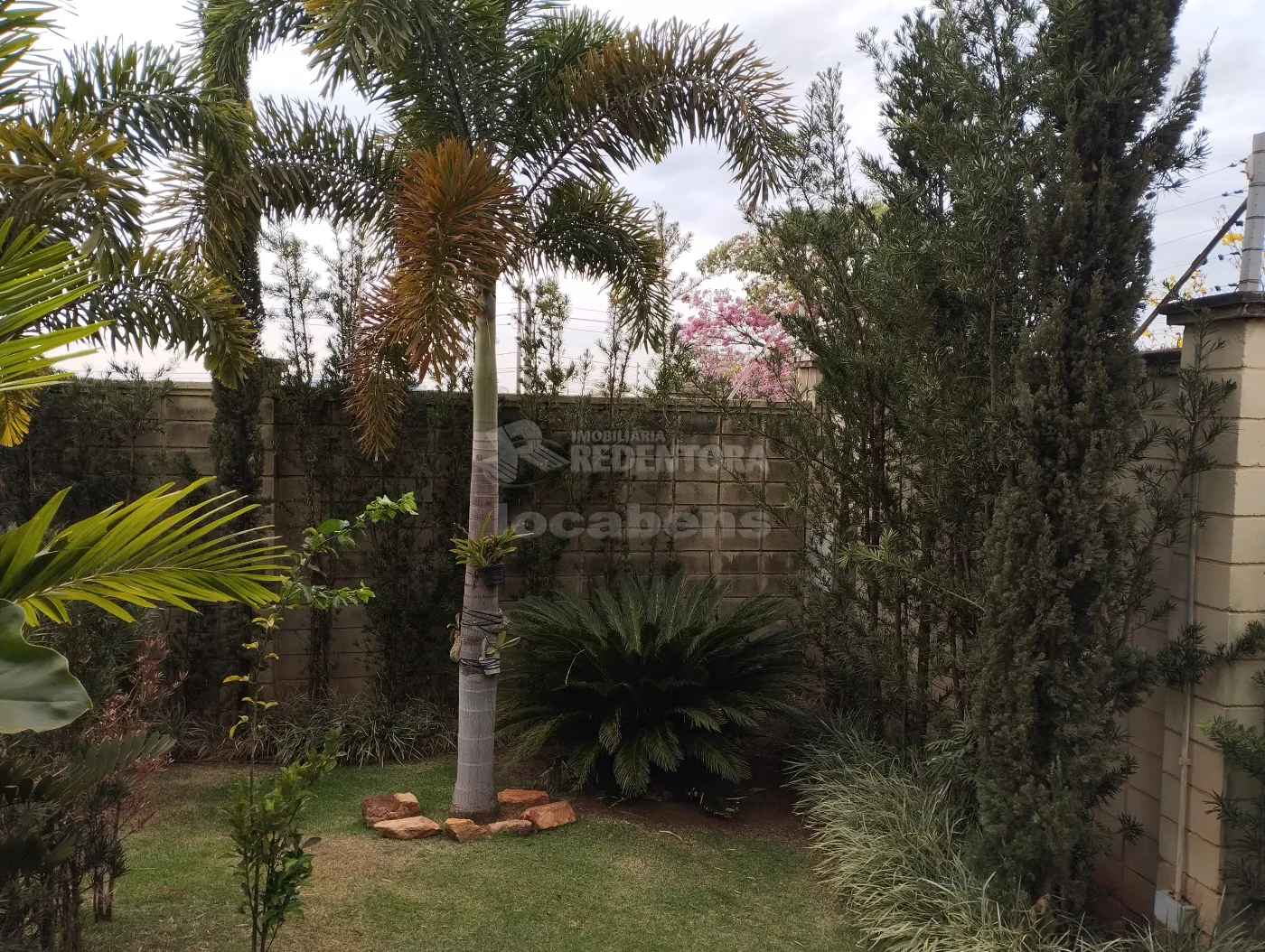 Alugar Casa / Condomínio em São José do Rio Preto apenas R$ 16.000,00 - Foto 4