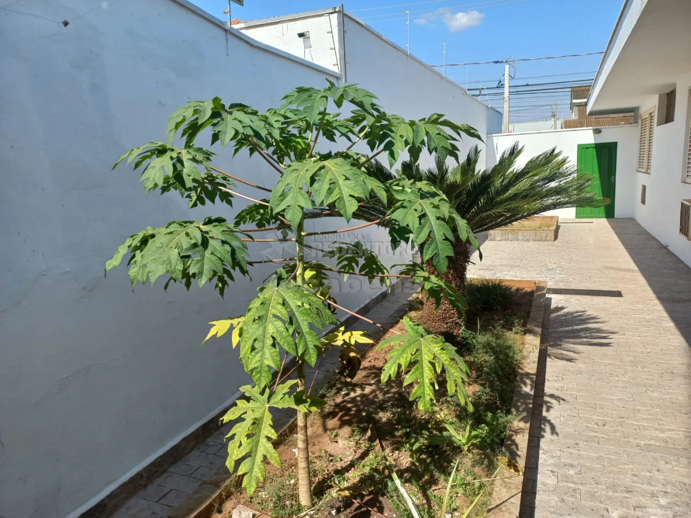 Comprar Casa / Padrão em São José do Rio Preto R$ 5.000.000,00 - Foto 29