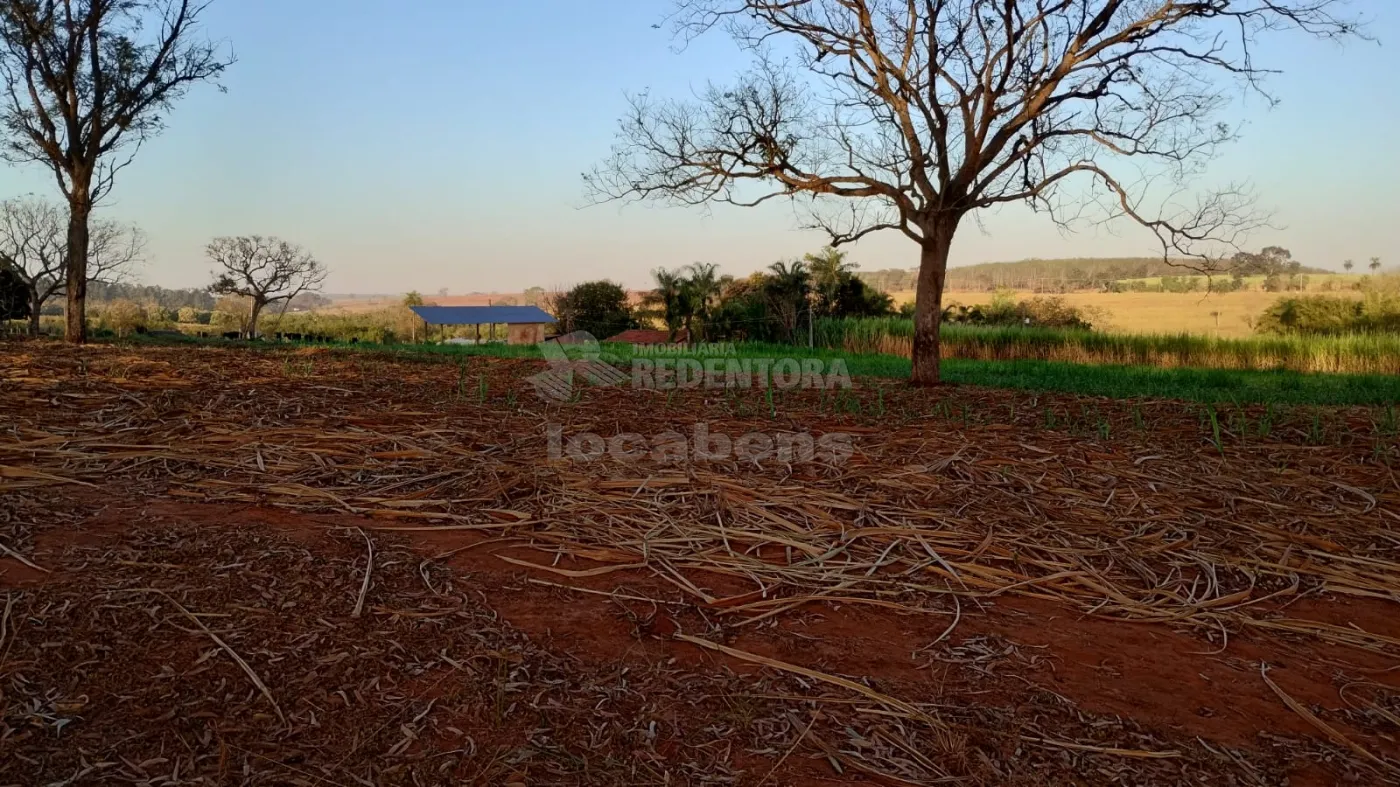 Comprar Rural / Chácara em Américo de Campos R$ 1.260.000,00 - Foto 8