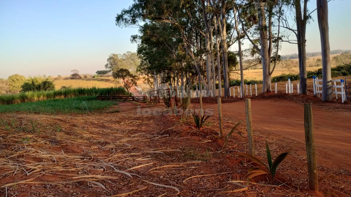 Comprar Rural / Chácara em Américo de Campos R$ 1.260.000,00 - Foto 15