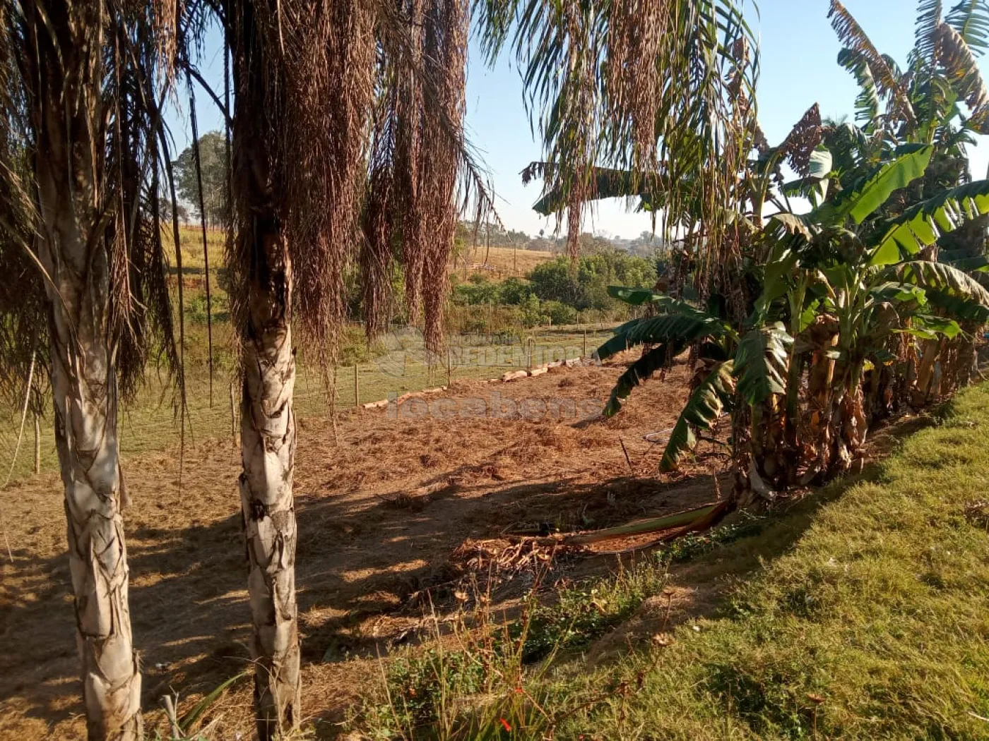 Comprar Rural / Chácara em Américo de Campos R$ 1.260.000,00 - Foto 17