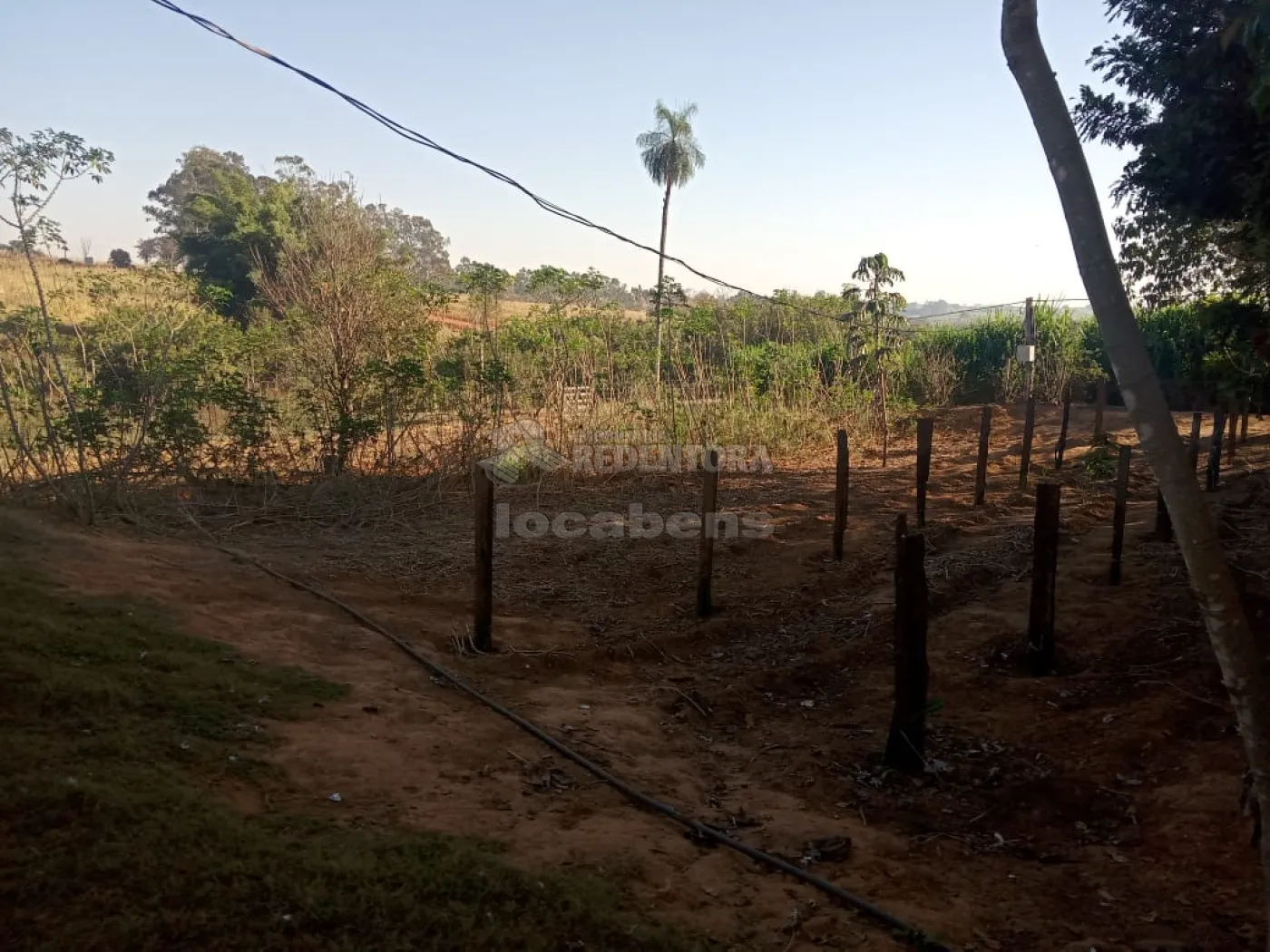 Comprar Rural / Chácara em Américo de Campos R$ 1.260.000,00 - Foto 20