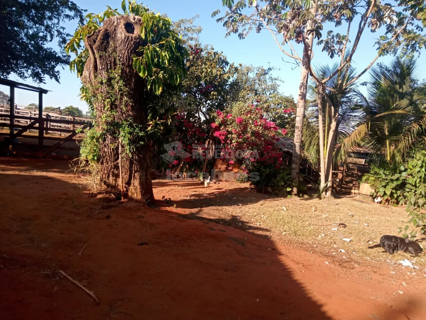 Comprar Rural / Chácara em Américo de Campos R$ 1.260.000,00 - Foto 22