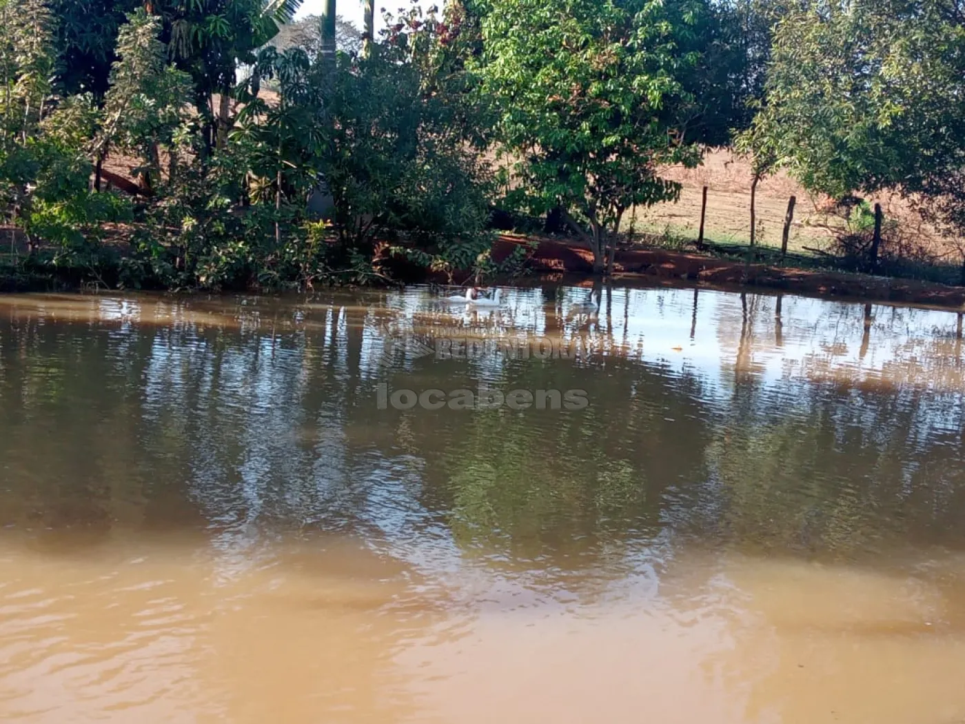 Comprar Rural / Chácara em Américo de Campos R$ 1.260.000,00 - Foto 26