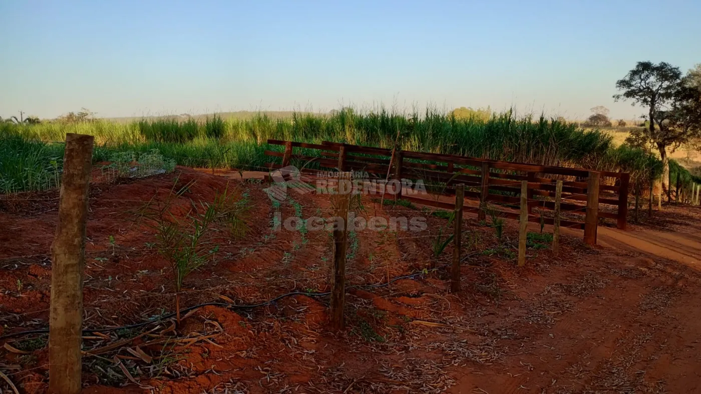 Comprar Rural / Chácara em Américo de Campos R$ 1.260.000,00 - Foto 28