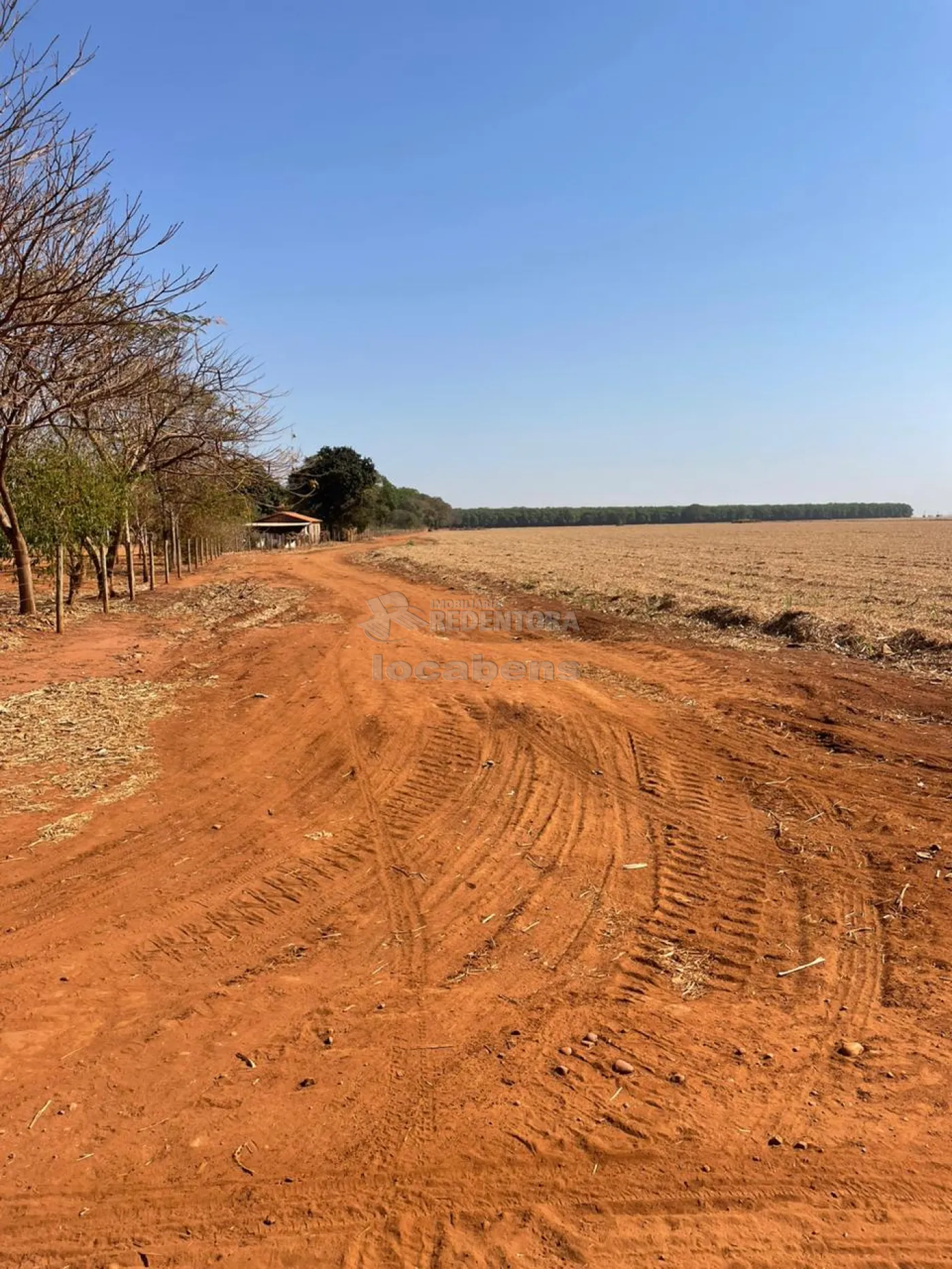 Comprar Rural / Fazenda em Frutal R$ 17.000.000,00 - Foto 3